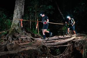 BIB: 
                            <button type="button" onclick="openModal(27423208)" class="btn btn-primary btn-sm float-right btn-popup" data-toggle="modal" data-target=".modal-high-quality">
                        <i class="fas fa-shopping-cart"></i> Add to Cart
                    </button>
                                            <button type="button" onclick="isThisMe(27423208, true)" class="btn btn-success btn-sm float-right btn-popup btn-isme hidden" data-toggle="tooltip" data-placement="bottom" title="นี่คือรูปของคุณใช่ไหม คลิกที่นี่เพื่อเอาเข้าอัลบั้ม">
                        <i class="fas fa-plus"></i> Add to album
                    </button>
                    <button type="button" onclick="isThisMe(27423208, false)" class="btn btn-warning btn-sm float-right btn-popup btn-isnotme hidden">
                        <i class="fas fa-ban"></i> Remove from album
                    </button>